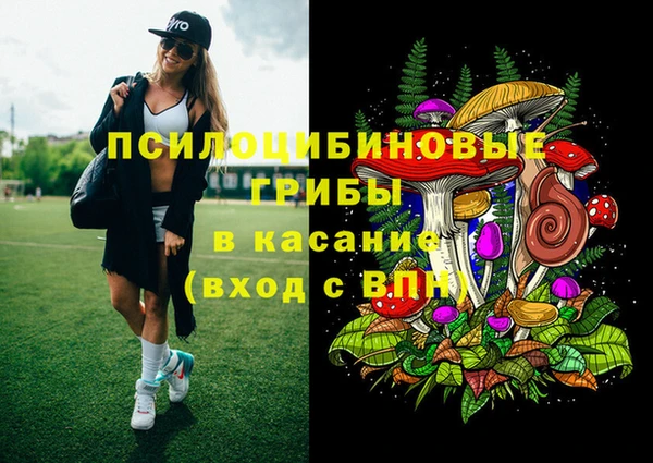mdma Няндома
