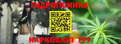 шишки Ирбит